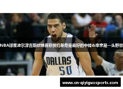 NBA球星波尔津吉斯欧锦赛称赞约基奇是最好的中锋&申京是一头野兽