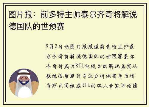 图片报：前多特主帅泰尔齐奇将解说德国队的世预赛